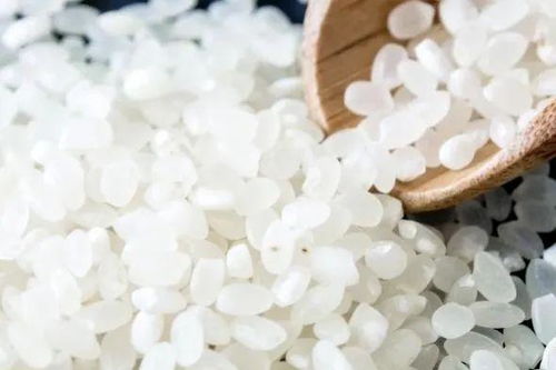 外冈大米与亿本新材料 品质农业与科技创新的双重丰收